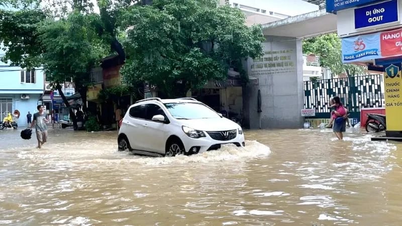 mo hinh 3d minh hoa he thong coc khoan nhoi cho cong trinh thuy lon